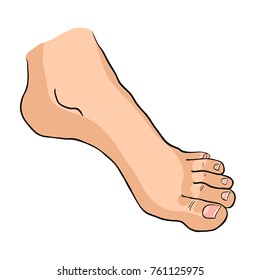 foot soles of the male down on tiptoe. vector illustration 