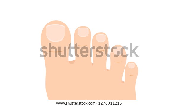 Foot thumb cartoon vector. toe vector.\
wallpaper. free space for text. copy\
space.