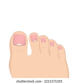 Foot toes on a white background. Mock up for pedicure. Female leg with nails. Vector illustration