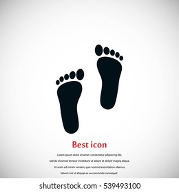 foot vector icon, flat design best vector icon