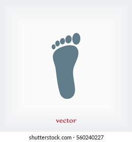 foot vector icon, flat design best vector icon