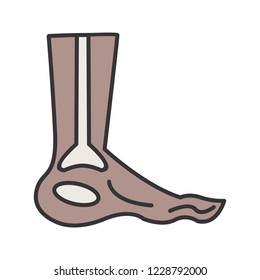 Foot x ray Line filled multi color icon