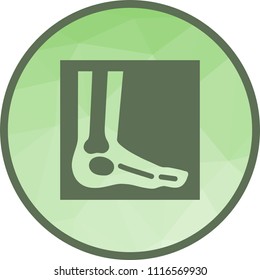 Foot X-ray Icon