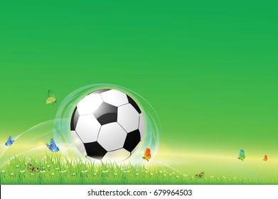 Footbal on the Lawn