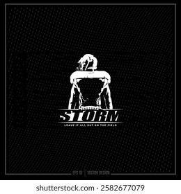 Football, American Football Team, Game, Athlete, Storm, Storm Team, Sports