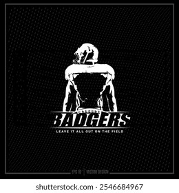 Football, American Football, Team, Game, Sport, Player, Football Player, Badger, Badger Team, Helmet, Sports Ball, Laces