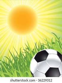 fondo de fútbol