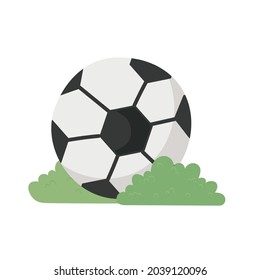 football ball sport on grass