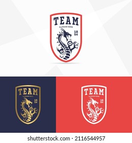 Football club emblem. Dragon icon football badge shield logo, football team game club element, Vector Logo Illustration Suitable for championship or team