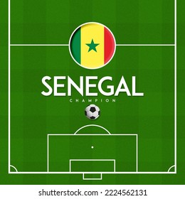 FOOTBALL FIELD WITH COUNTRY FLAG SENEGAL