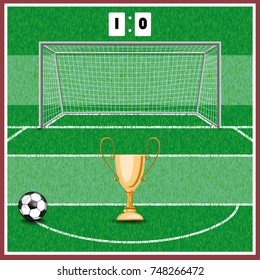 Football field . on the grass the markings and the gate stand.