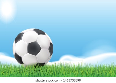 Football field .Soccer ball on a green lawn against the blue sky.