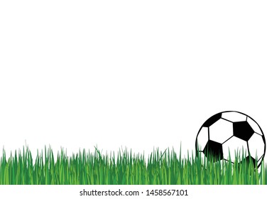 football, green young grass on a white background. Sports, hobbies, recreation.