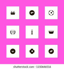 football icons. soccer ball, cup, football ball and rugby ball vector icons set