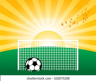 Football on grass field, vector illustration