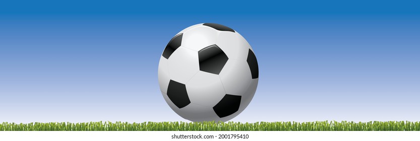 Football on green meadow isolated on white background soccer ball
