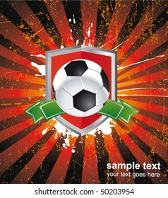 football sign - soccer ball on the shield