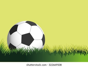FOOTBALL OR SOCCER BALL