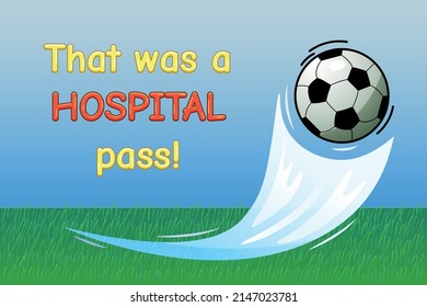 Football (soccer) ball flies into the goal, gate. Stadium with grass. With text