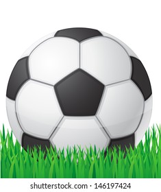 football soccer ball in grass vector illustration isolated on white background