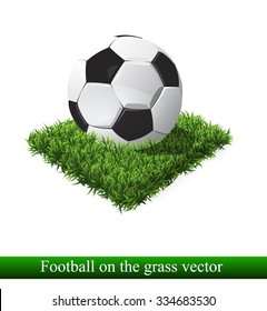 football, soccer ball on the grass in a vector