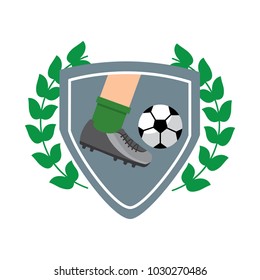 football soccer icon image 