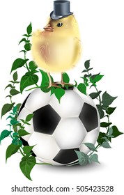 Football with  transparent background, chicken and green leaves.  
Vector Illustration