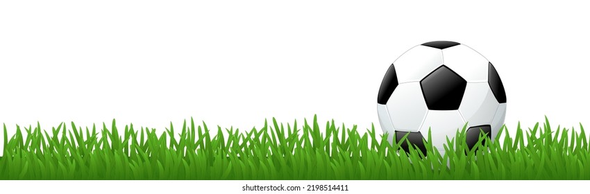 Footer with grass and cutout soccer ball on white background (cut out)