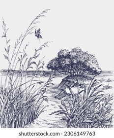 A footpath to a small wild beach hand drawing