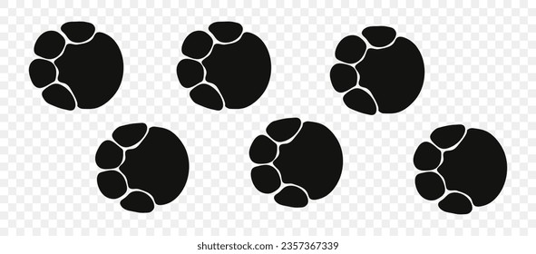 Footpath trail of animal. Elephant paws. Elephant paws walking randomly print vector isolated on white background.