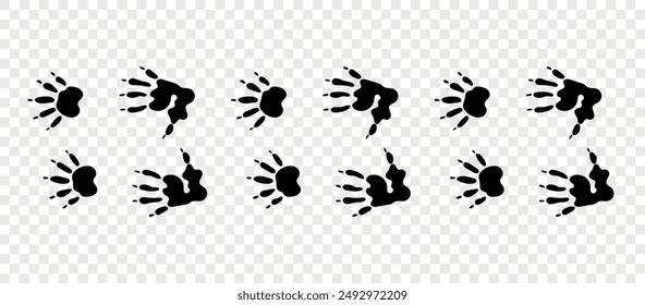 Footpath trail of animals. Opossum paws. Opossum paws walking randomly print vector isolated on checkered background.