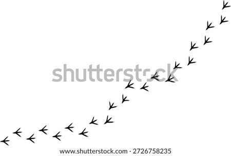 Footpath trail of rooster, rooster footprints track, black track, bird paw print