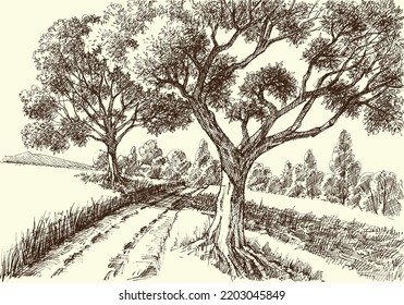 A footpath under the trees hand drawing, artistic nature background