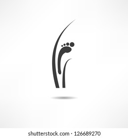 Footprint