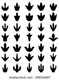 Footprint of dinosaur on a white background, vector