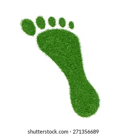 Footprint of grass. Vector image.