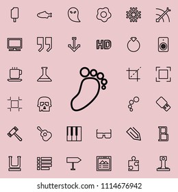 footprint outline icon. Detailed set of minimalistic line icons. Premium graphic design. One of the collection icons for websites, web design, mobile app on colored background