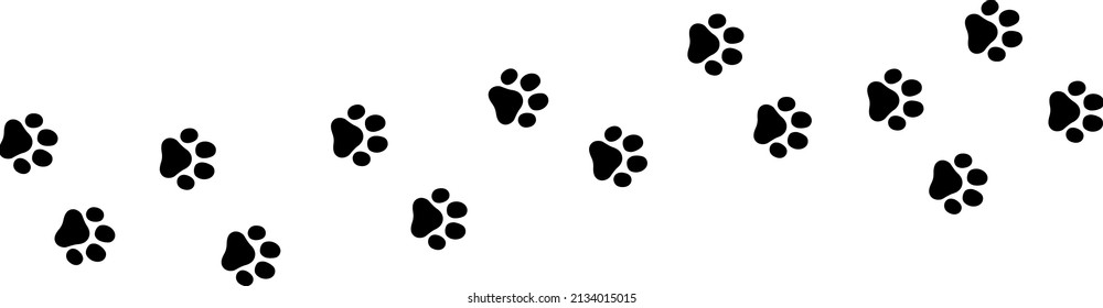 Footprint trail of dog and cat