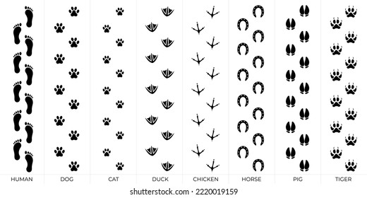 Footprint Vector Draw Silhouette Set
