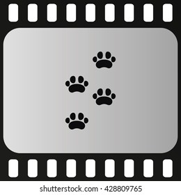 Footprints of  animal paw.