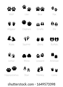 Footprints of animals. Silhouette of animal legs. Wildlife paw trail or trail footprint.