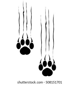 Footprints of a big cat. Panther or tiger traces. Vector