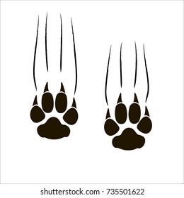 Footprints of a big cat. Panther or tiger traces. Vector