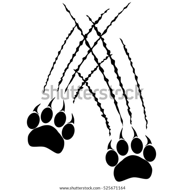 Empreintes D Une Grosse Patte De Chat Image Vectorielle De Stock Libre De Droits