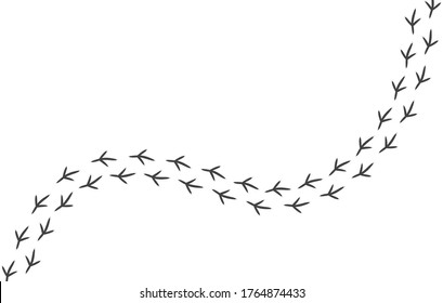 Footprints of birds. Vector paw prints of a pigeon isolated on a white background. Black legs extending beyond the borders of the picture. Wallpaper for bird lovers