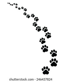 Footprints of cat, turn left