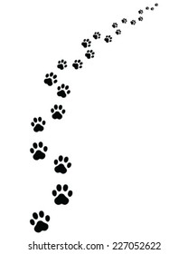 Footprints of cat, turn right
