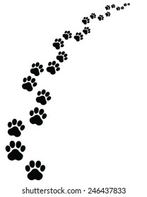 Footprints of cat, turn right
