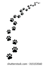 Footprints of cat, turn right