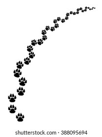 Footprints of cat, turn right